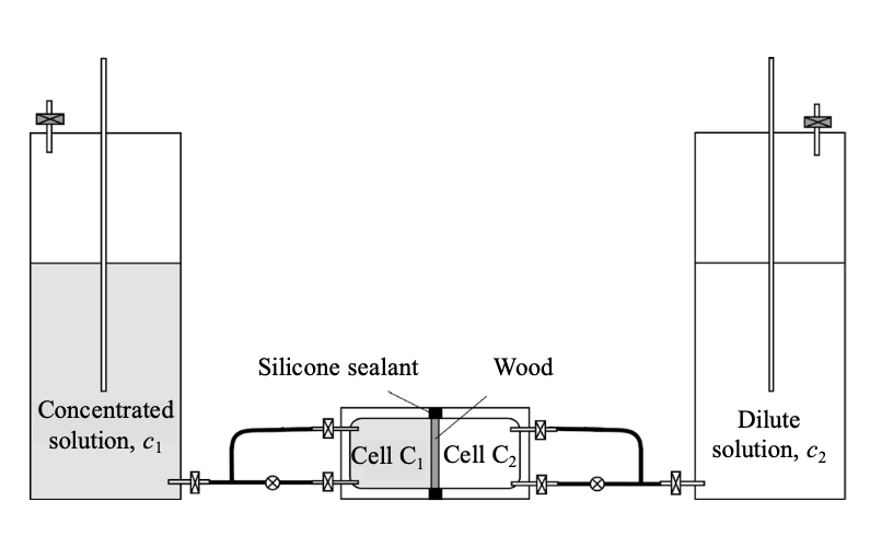 Sự khuếch tán của hóa chất bảo quản vào gỗ khảo cổ khai quật tại Hoàng thành Thăng Long, Việt Nam