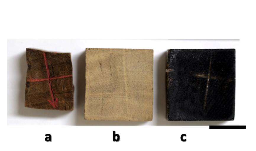 Đánh giá phương pháp bảo tồn gỗ khảo cổ ngập nước bằng Colophan và Polyethylene glycol