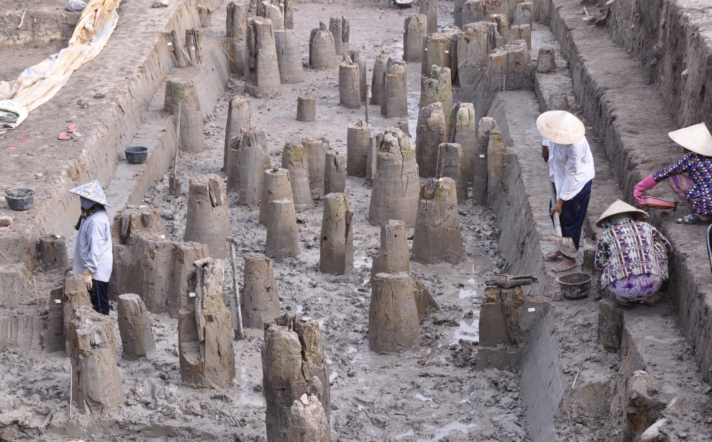Luận án Tiến sĩ: Nghiên cứu xử lý bảo tồn gỗ khảo cổ tại Việt Nam