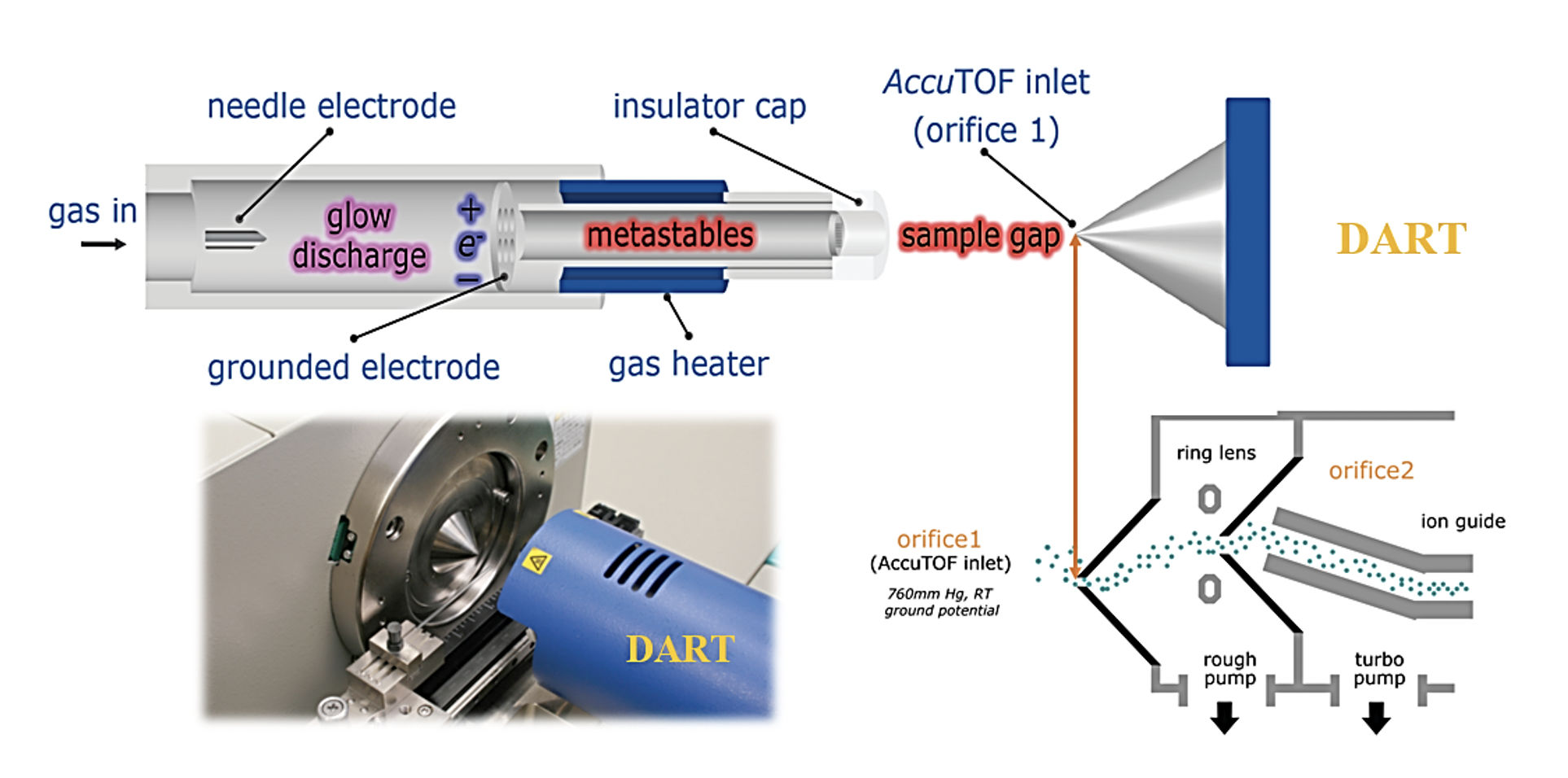 Công nghệ Quang phổ khối lượng DART – TOFMS và ứng dụng trong giám định gỗ