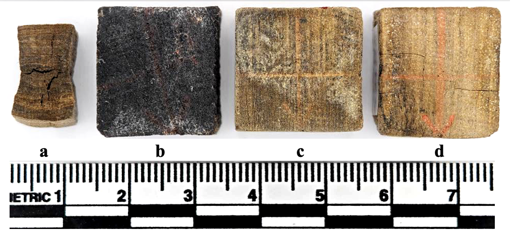 Đánh giá phương pháp xử lý bảo tồn gỗ khảo cổ bằng Keratin và Trehalose